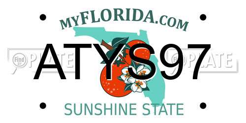 ATYS97 Florida License Plate
