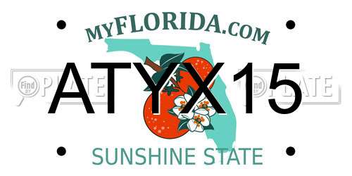 ATYX15 Florida License Plate