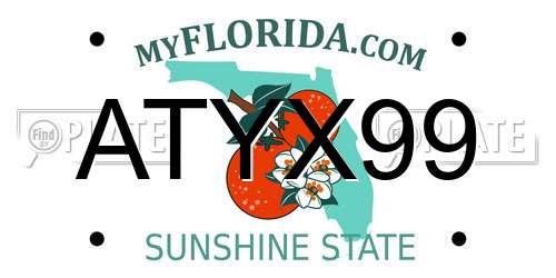 ATYX99 Florida License Plate