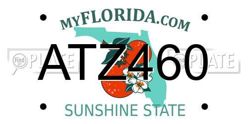 ATZ460 Florida License Plate