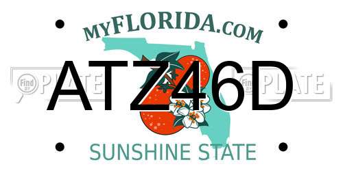 ATZ46D Florida License Plate
