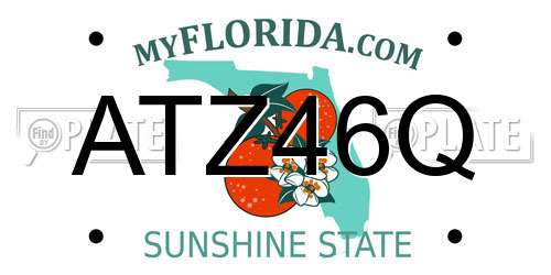 ATZ46Q Florida License Plate