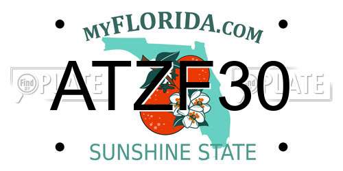 ATZF30 Florida License Plate