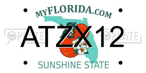 ATZX12 Florida License Plate