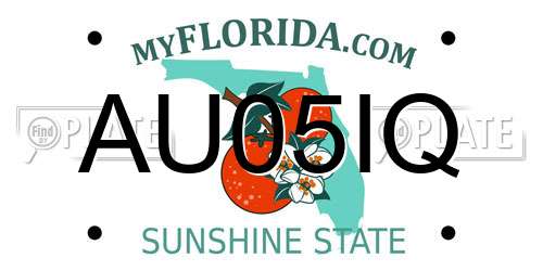 AU05IQ Florida License Plate