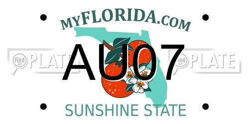AU07 Florida License Plate