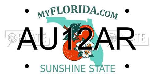 AU12AR Florida License Plate
