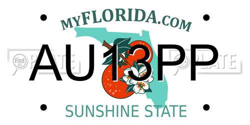 AU13PP Florida License Plate