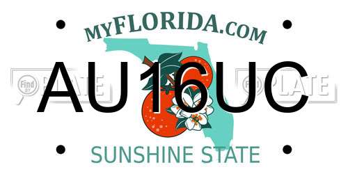 AU16UC Florida License Plate