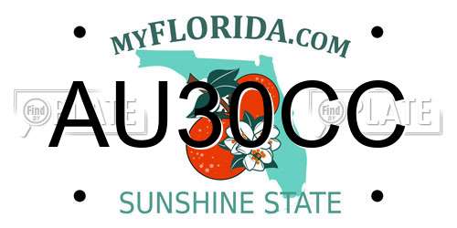 AU30CC Florida License Plate
