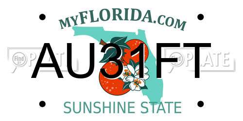 AU31FT Florida License Plate