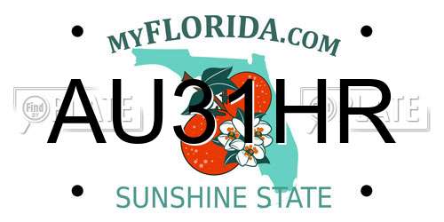 AU31HR Florida License Plate
