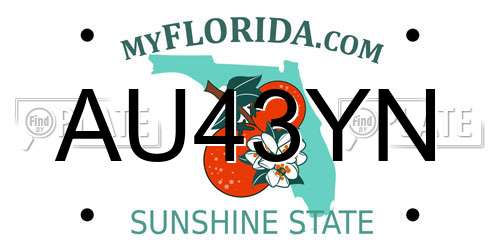 AU43YN Florida License Plate