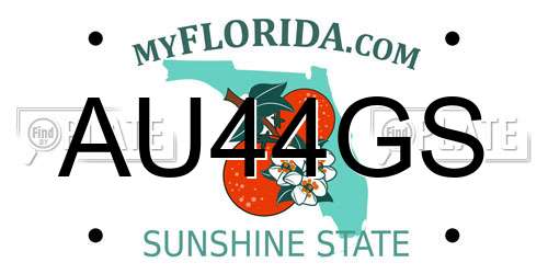 AU44GS Florida License Plate