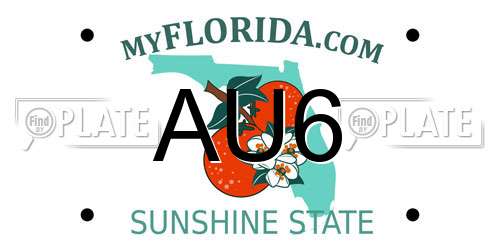 AU6 Florida License Plate