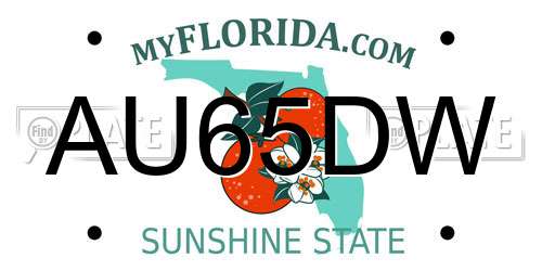 AU65DW Florida License Plate