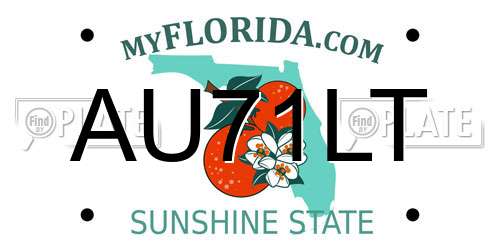AU71LT Florida License Plate