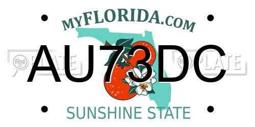 AU73DC Florida License Plate