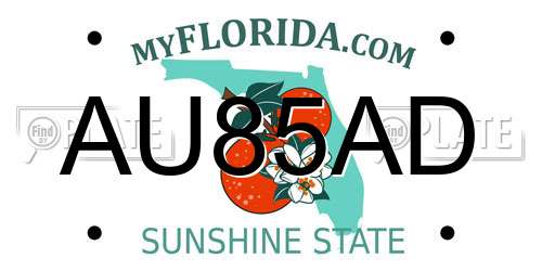 AU85AD Florida License Plate