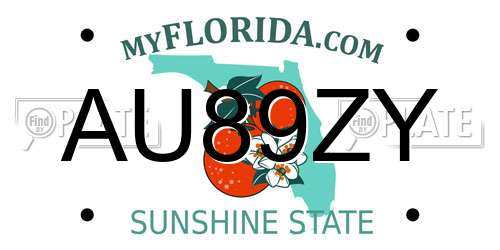 AU89ZY Florida License Plate