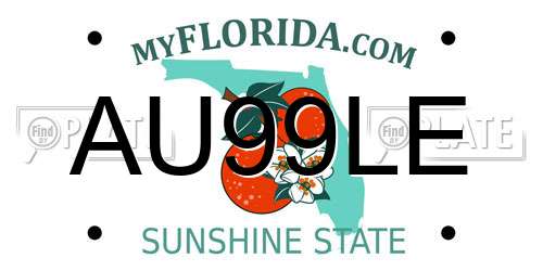 AU99LE Florida License Plate
