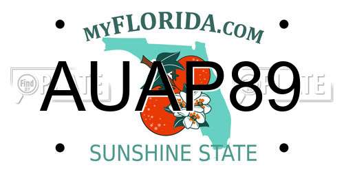 AUAP89 Florida License Plate