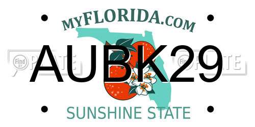 AUBK29 Florida License Plate