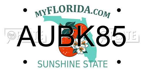 AUBK85 Florida License Plate