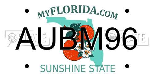 AUBM96 Florida License Plate