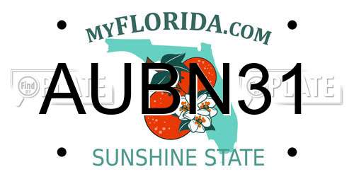 AUBN31 Florida License Plate