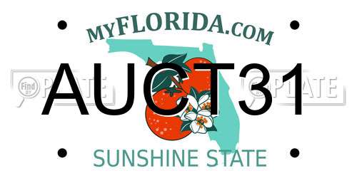 AUCT31 Florida License Plate