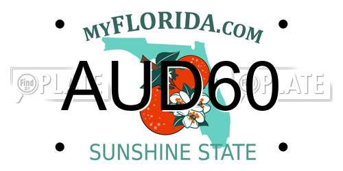 AUD60 Florida License Plate