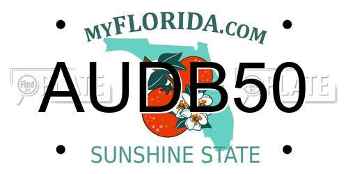 AUDB50 Florida License Plate