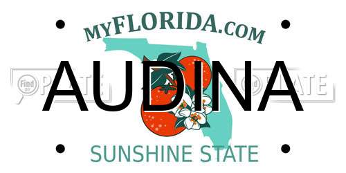 AUDINA Florida License Plate
