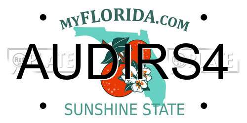 AUDIRS4 Florida License Plate