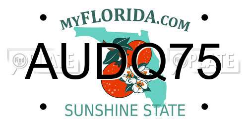 AUDQ75 Florida License Plate