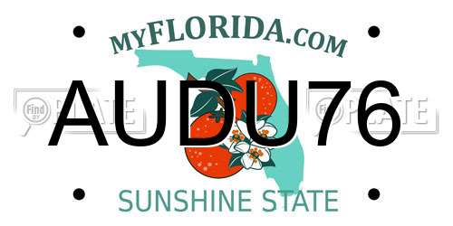 AUDU76 Florida License Plate