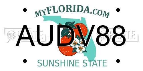 AUDV88 Florida License Plate