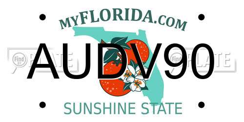 AUDV90 Florida License Plate