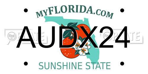 AUDX24 Florida License Plate