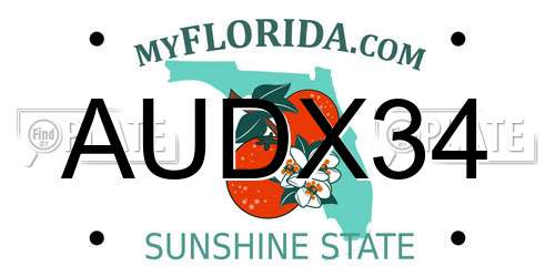 AUDX34 Florida License Plate