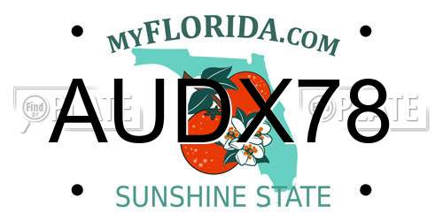 AUDX78 Florida License Plate