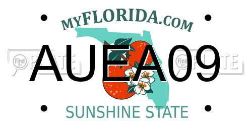 AUEA09 Florida License Plate