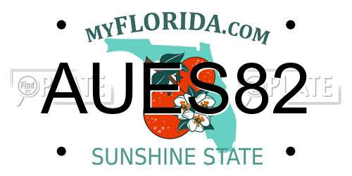 AUES82 Florida License Plate