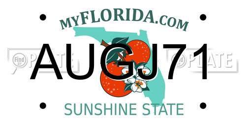 AUGJ71 Florida License Plate