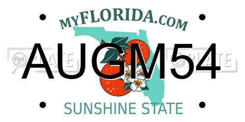 AUGM54 Florida License Plate