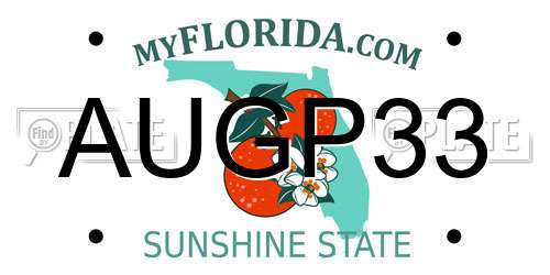 AUGP33 Florida License Plate