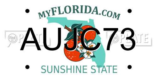 AUJC73 Florida License Plate