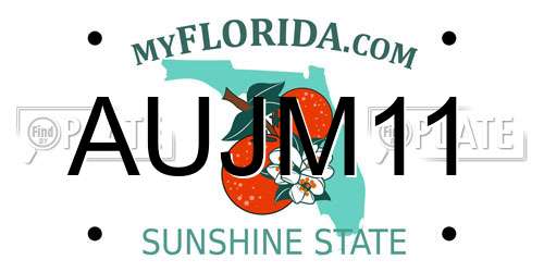 AUJM11 Florida License Plate