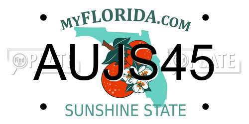 AUJS45 Florida License Plate